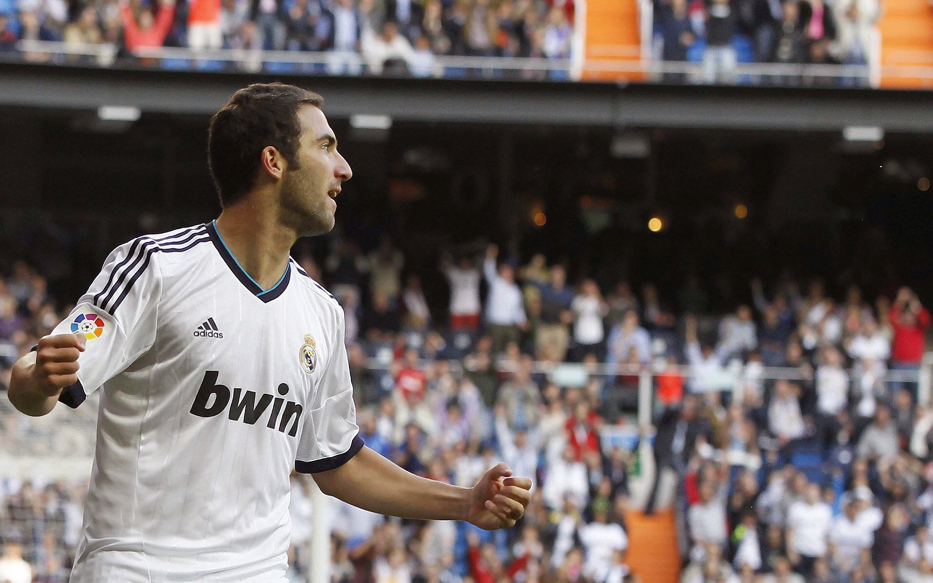 城市夜行徒步50公里挑战 千人通宵走完“城市环线”